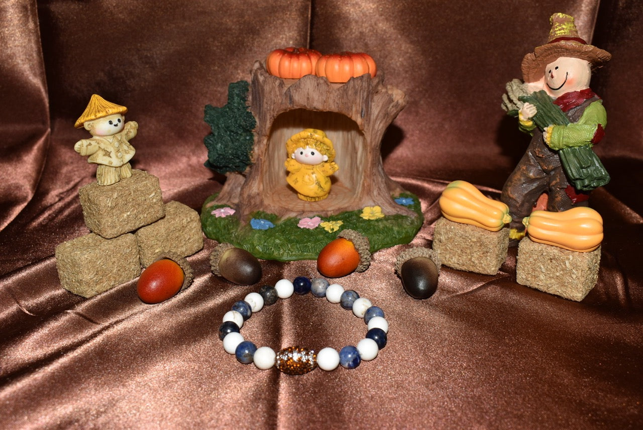 Nittany Spirit Bracelet